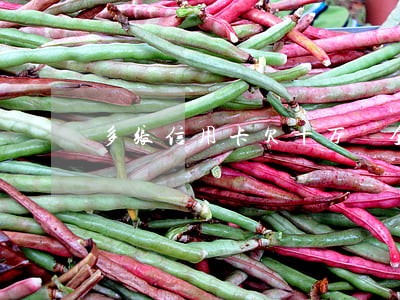 多张信用卡欠十万 全面逾期